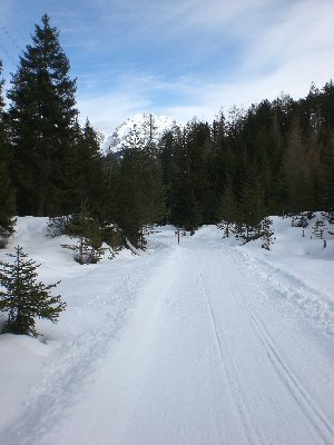 Rodelbahn SimmeringAlm 2009-03-08 Unterer Abschnitt.jpg (2.17 MiB) 9143 mal betrachtet Rodelbahn im unteren Abschnitt (Flachstück)