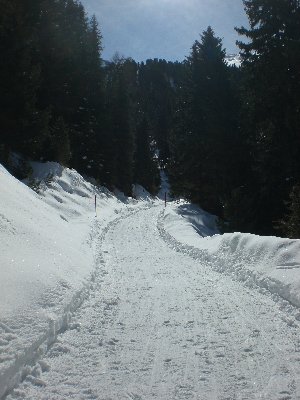 Rodelbahn Juifenalm 2009-03-14 Mittlerer Abschnitt 2.jpg (2.2 MiB) 9735 mal betrachtet Strecke im mittleren Abschnitt