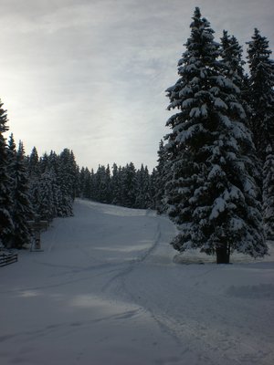 Rodelbahn BirgitzerAlm Huettenboden 20091205.JPG (2.14 MiB) 29236 mal betrachtet Am Hüttenboden