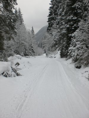 Rodelbahn KematerAlm Mittelst__ck 20091212.JPG (2.17 MiB) 12855 mal betrachtet Im mittleren Abschnitt