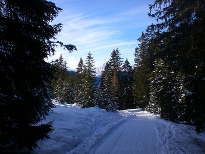 Rodelbahn unterhalb Naviser Huette.JPG (2.21 MiB) 19409 mal betrachtet Unterhalb der Naviser Hütte