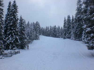 BirgitzerAlm_Huettenboden.JPG (1.81 MiB) 11056 mal betrachtet Hüttenboden