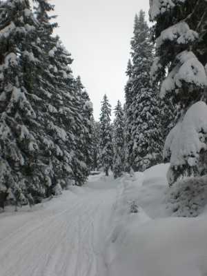 Tief_winterlich.JPG (1.86 MiB) 10765 mal betrachtet Tief winterlich