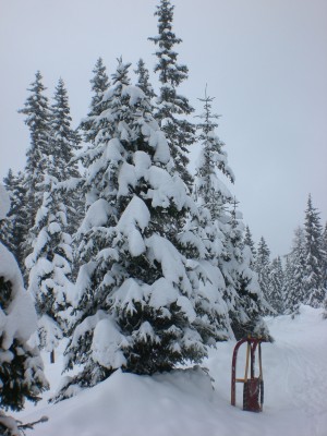 Winterstimmung_2.JPG (1.85 MiB) 11056 mal betrachtet Sehr romantisch auch die Talfahrt