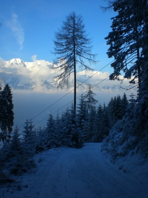 Im mittleren Abschnitt.JPG (1.82 MiB) 9947 mal betrachtet Bahn im unteren Abschnitt