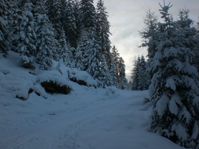 Oberster Streckenabschnitt.JPG (1.86 MiB) 10108 mal betrachtet Im obersten Streckenabschnitt