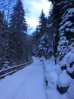 Banden_Unten.JPG (1.85 MiB) 27887 mal betrachtet Banden im unteren Abschnitt