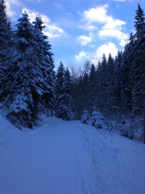 Unterer Abschnitt.JPG (1.86 MiB) 27736 mal betrachtet Im unteren Abschnitt