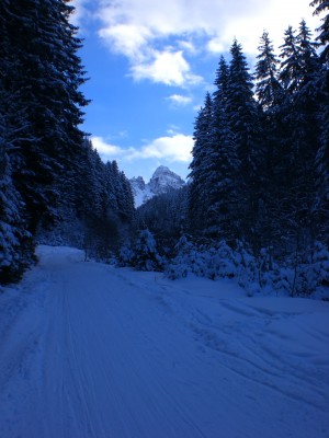 Marchreisenspitze.JPG (1.84 MiB) 26065 mal betrachtet Ferne Marchreisenspitze