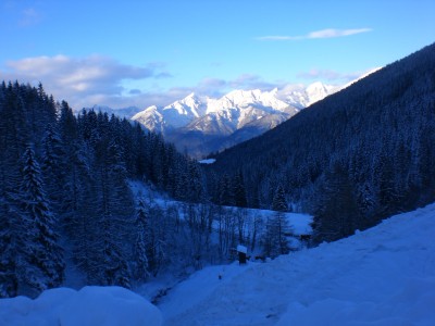 Oben.JPG (1.85 MiB) 27736 mal betrachtet Oben