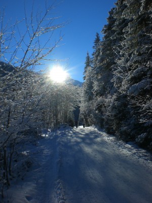 Unterer Abschnitt.JPG (1.86 MiB) 12415 mal betrachtet Rodelbahn Bergheim im unteren Abschnitt