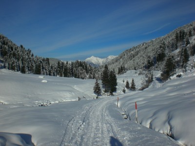 Impressionen 2.JPG (1.82 MiB) 12415 mal betrachtet Impressionen Fotschertal