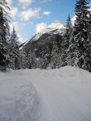 DSCN3475.JPG (617.42 KiB) 21424 mal betrachtet Kurve im unteren Abschnitt