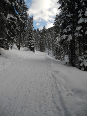 DSCN3478.JPG (667.39 KiB) 21424 mal betrachtet Gerade im unteren Abschnitt