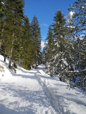 DSCN3489.JPG (615.72 KiB) 21424 mal betrachtet Oberer Abschnitt - Sonne!