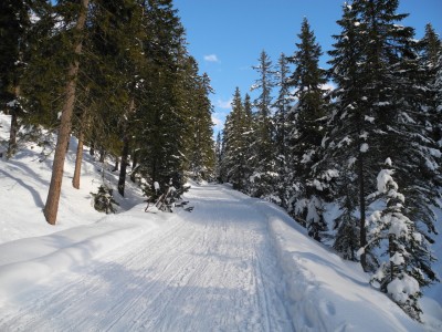 DSCN3491.JPG (651.76 KiB) 21424 mal betrachtet Oberster Abschnitt