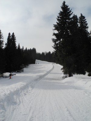 DSCN4282.JPG (697.73 KiB) 11723 mal betrachtet Hüttenboden