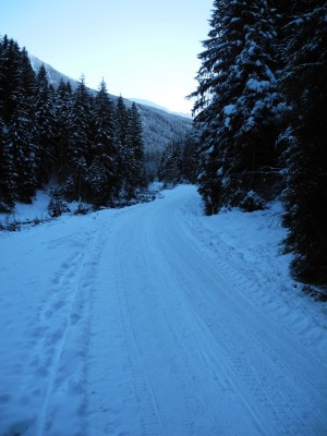 DSCN6189.JPG (641.67 KiB) 39584 mal betrachtet Rodelbahn im untersten Abschnitt