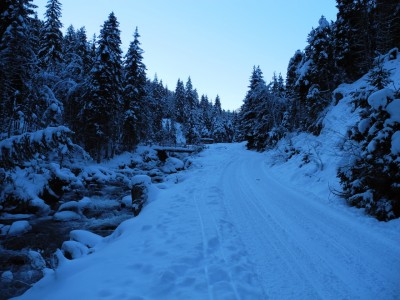 DSCN6195.JPG (740.64 KiB) 39584 mal betrachtet Schon ein Stück weiter