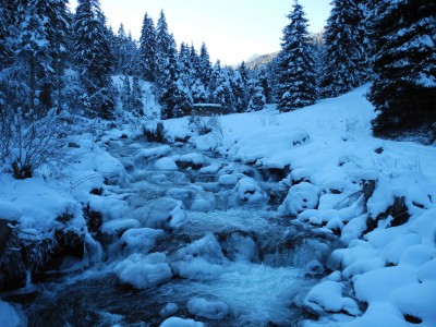 DSCN6196.JPG (655.13 KiB) 39584 mal betrachtet EIsig war heute nur der Fotscher Bach