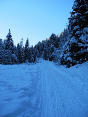 DSCN6197.JPG (609.03 KiB) 39584 mal betrachtet Bergheim kommt immer näher