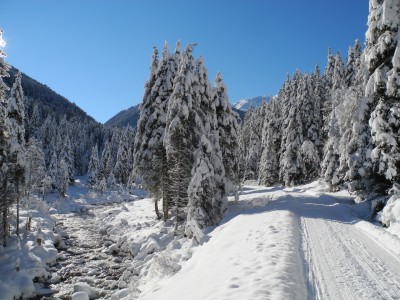 DSCN6215.JPG (601.38 KiB) 39584 mal betrachtet Gleich unterhalb von Bergheim