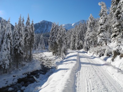 DSCN6219.JPG (593.84 KiB) 39584 mal betrachtet Noch einmal - weil es so schön ist