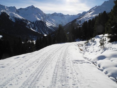 DSCN6288.JPG (641.54 KiB) 21742 mal betrachtet Die Rodelbahn im untersten Abschnitt