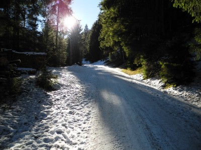 DSCN6332.JPG (703.22 KiB) 14855 mal betrachtet Bahnzustand im untersten Bereich