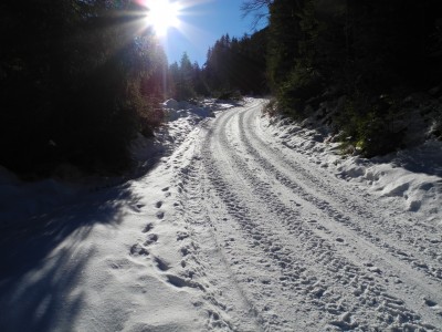 DSCN6335.JPG (644.74 KiB) 14855 mal betrachtet Die Rodelbahn im unteren Abschnitt