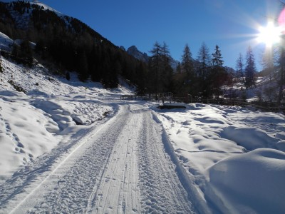 DSCN6345.JPG (638 KiB) 14855 mal betrachtet Abzeigung Salfeins