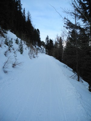 DSCN6607.JPG (378.29 KiB) 22332 mal betrachtet Nach der Abzweigung Richtung Nisslalm