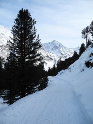 DSCN6634.JPG (365.23 KiB) 22332 mal betrachtet Bahn im obersten Abschnitt