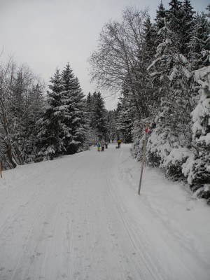 Aufstiegweg nach Sulzstich.JPG (1.23 MiB) 45269 mal betrachtet Der Forstweg zur Jausenstation Sulzstich