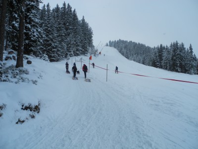 Rodelbahn_Piste_Parallel.JPG (1.06 MiB) 45264 mal betrachtet Ein Nebeneinander von Rodelbahn und Piste