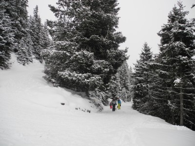 Die letzte Kurve.JPG (1.23 MiB) 45264 mal betrachtet Die letzte Kurve