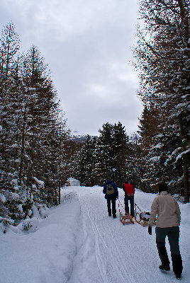 Sistranser Alm (1).jpg